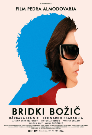 Bridki božič